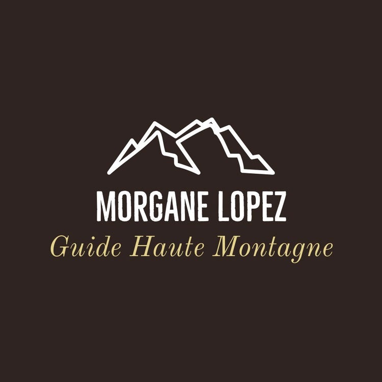 Black and yellow Mountain Guide Logo