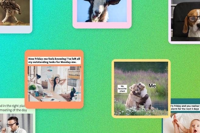 Intégrer les mèmes dans votre stratégie marketing | Adobe Express