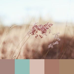 Color Palettes | Earthy 4 101 Brilliant Color Combos