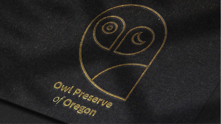 Create customised brand graphics for your own business or a client.