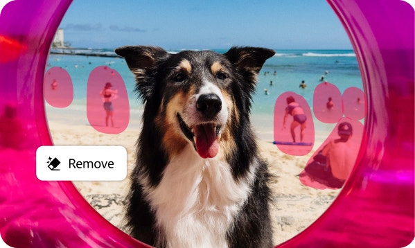 Generative Remove now makes it easier than ever to quickly clean up anything.