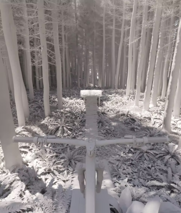 3D texturing a mountain bike scene