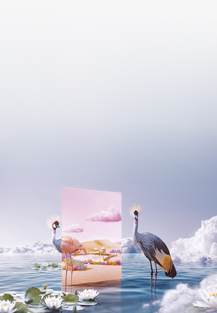 Save 40% on the Creative Cloud All Apps plan.