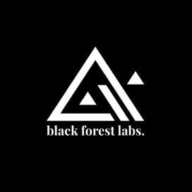 Black Forest Labs, kép, kép