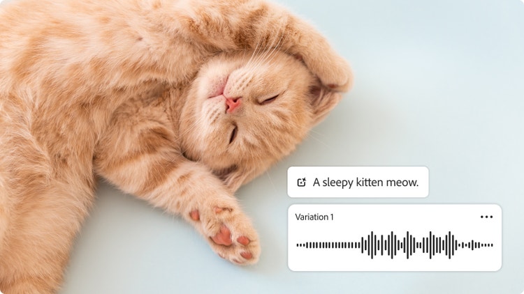 Álmos vörös kiscica az MI-alapú hangeffektus-generátor mezőjével, amelyben az „a sleepy kitten meow“ (álmos kiscica nyávogása) szavak és egy hanghullám látható. A kép azt mutatja be, hogy lehet egyedi macskanyávogásos hangeffektusokat létrehozni a Firefly segítségével.