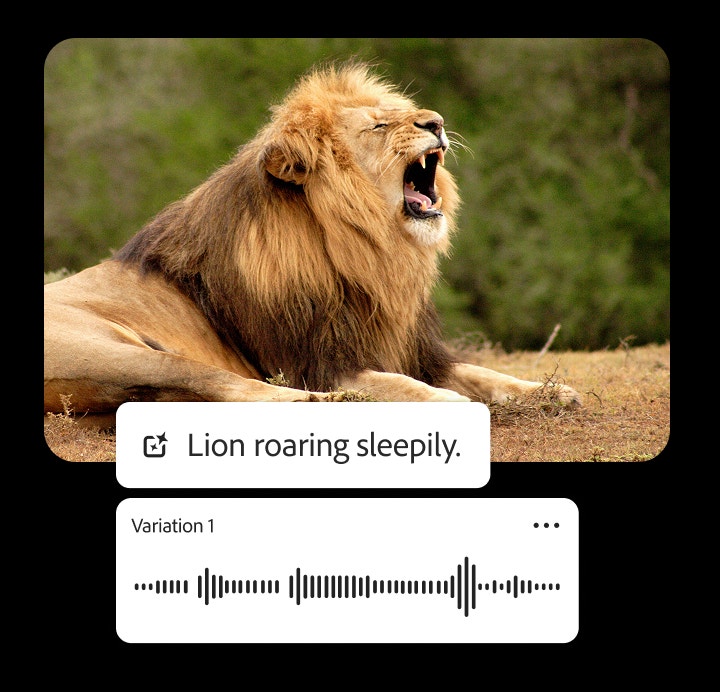 Egy oroszlán ordít, miközben az MI-alapú hangeffektus-generátor utasításmezőjében a „a lion roaring sleepily“ (álmosan ordító oroszlán) szöveg jelenik meg. A kép azt mutatja be, hogy hozhatók létre valósághű állathangeffektusok a Firefly segítségével.