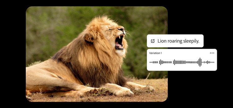 Egy oroszlán ordít, miközben az MI-alapú hangeffektus-generátor utasításmezőjében a „a lion roaring sleepily“ (álmosan ordító oroszlán) szöveg jelenik meg. A kép azt mutatja be, hogy hozhatók létre valósághű állathangeffektusok a Firefly segítségével.