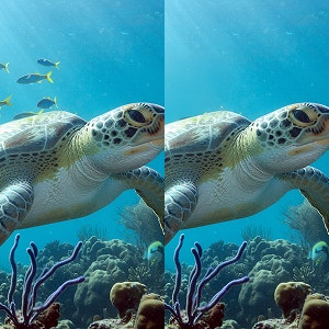 An image showing Firefly Generative Remove deleting a school of fish from the background of an image of a swimming turtle.