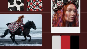 A woman dressed in zebra print on a horse, included in a fashion moodboard with an array of colors, styles, and textures.