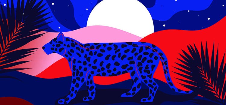 Ilustrasi gambar vektor seekor cheetah di bawah sinar bulan.