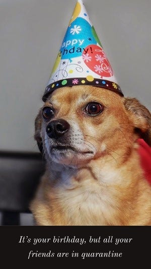 birthday meme instagram story Funny Birthday Meme