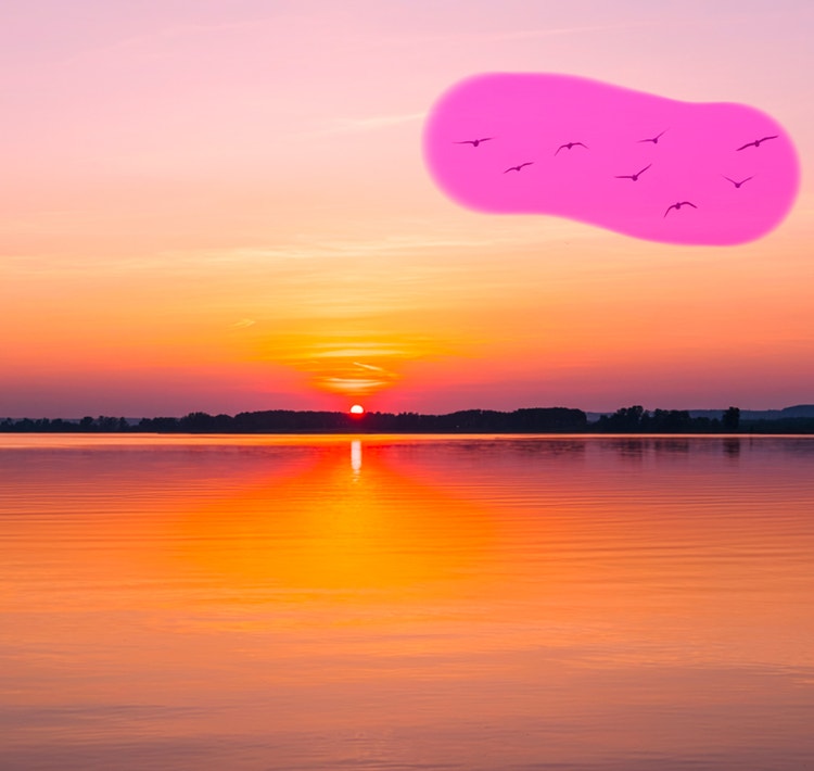 Dalam foto matahari terbenam di atas perairan, sekawanan burung di langit disorot untuk dihilangkan dengan Penghilang Generatif Firefly.