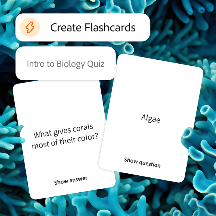 Tool is prompted to create flashcards for an intro to biology quiz. Bright blue coral backdrop represents the topic on the card.