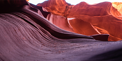 הציגו פירוט מדהים