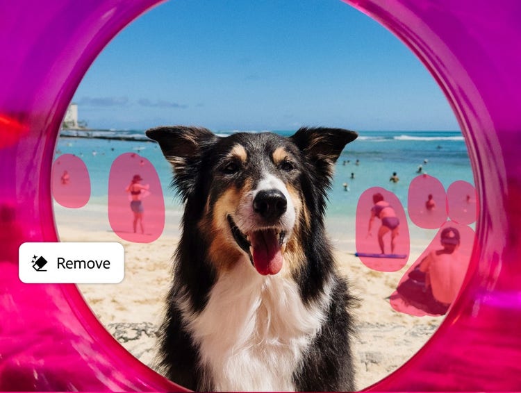 Dog on beach cleaned up with Lightroom Generative Remove to remove background people.