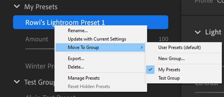 Right-click menu showing Move to Group option for presets