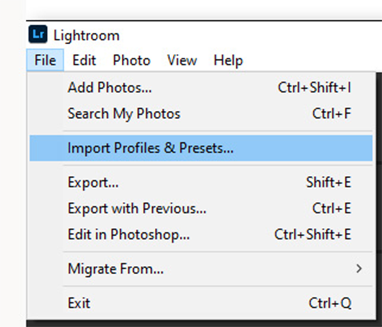 Import Profiles and Presets option in Lightroom File menu