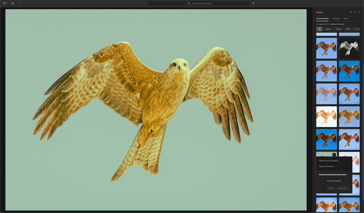 Recommended presets tab with save option visible