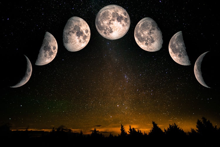 Phases of the moon over a starry night sky with a forest silhouette.