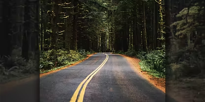 Elements from multiple photos are combined in a composite image with layers dialogue box overlaid