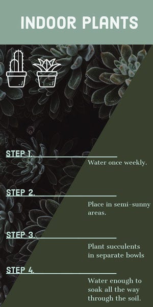 Green Houseplant Care Infographic Infographic Examples