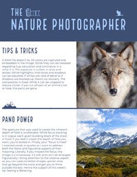 Nature Photography Tips Newsletter Graphic Newsletter Examples