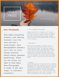 Winter Photography Newsletter Graphic Newsletter Examples