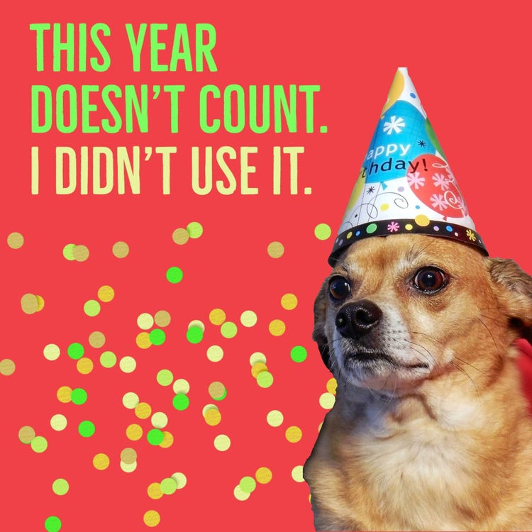 Bright Red And Green Party Hat Dog Birthday Meme