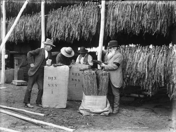 Monochrome image of four people