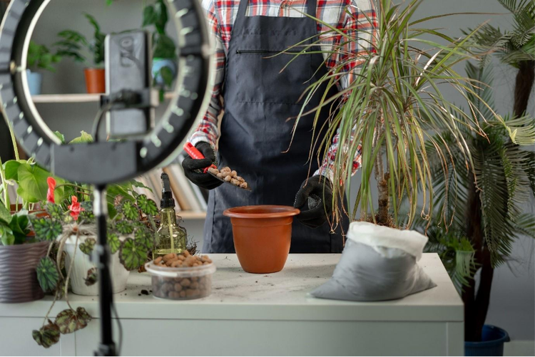 Person creating a faceless video about plant care, wearing a plaid shirt and black apron, adding soil to a terracotta pot on a table surrounded by houseplants and filming with a ring light setup.