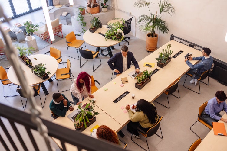 A diverse team working in a modern, open-plan office with tables, chairs, and plants.