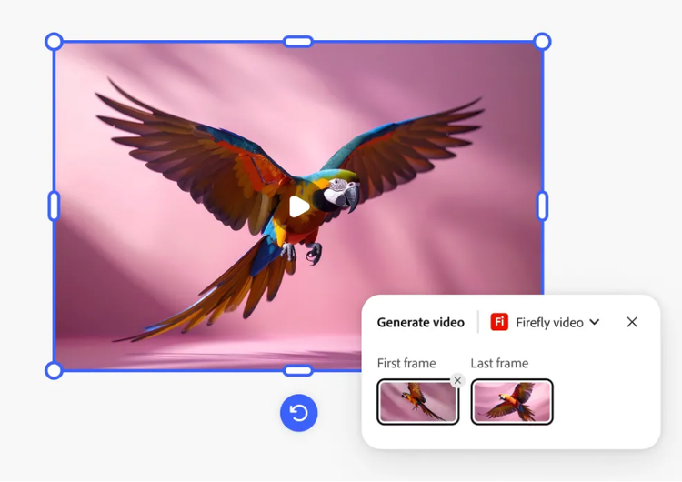 Video still of a flying parrot in front of a pink background with inset of the Firefly Generate Video prompt bar showing First and Last frames.