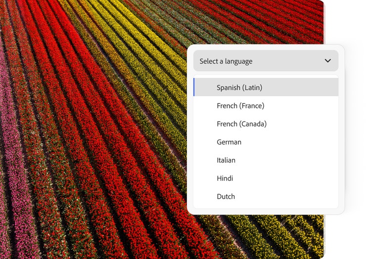 Aerial view of colourful flower fields with Adobe Firefly's language selection menu displayed, illustrating multilingual AI content creation and localisation capabilities.