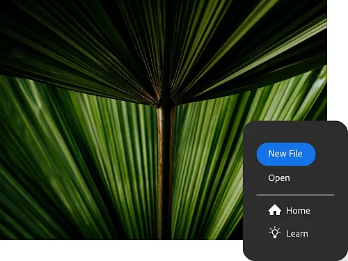 Image of leaves next to a Photoshop screenshot showing how to create a new file — a basic first step for beginners