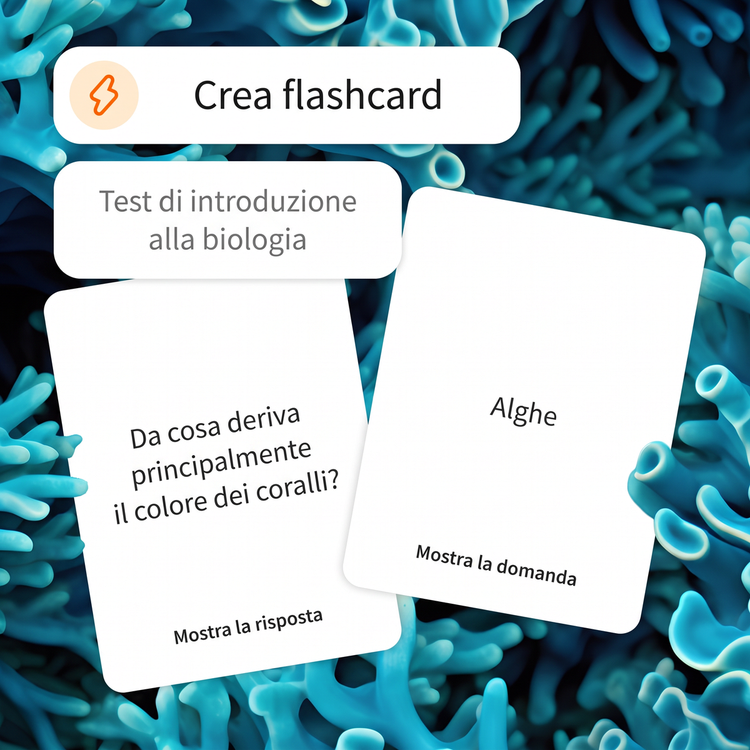Allo strumento viene chiesto di creare delle flashcard per un test introduttivo alla biologia. Lo sfondo blu brillante con motivi corallini rappresenta l’argomento trattato nella flashcard.