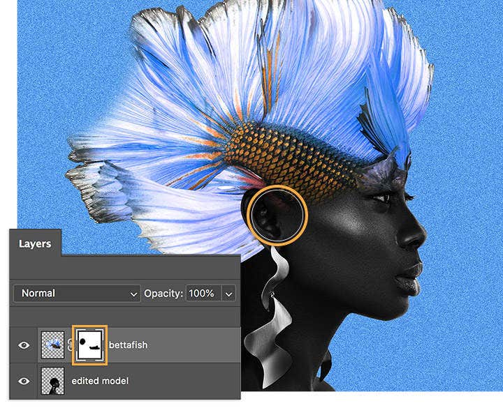 https://main--cc--adobecom.aem.live/cc-shared/fragments/modals/videos/photography/discover/composite-photo#video | video | :play: