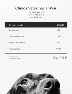 veterinarian clinic invoice  Fattura