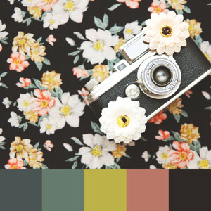 Color Palettes | Retro 4 101 combinazioni di colori brillanti
