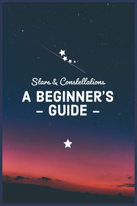 A beginner’s   - guide - principali siti di social media