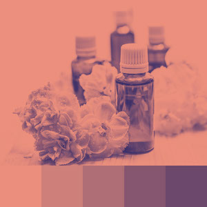 Color Palettes | Duotone & Monochromatic 7 101 combinazioni di colori brillanti