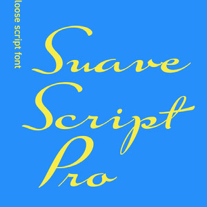 Yellow and Blue Suave Font Logo Brand Square Graphic 32 stili calligrafici e più; stili di carattere