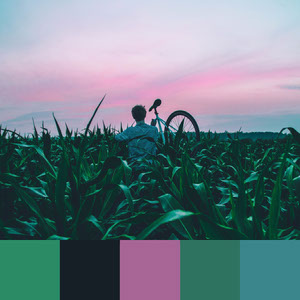 Color Palettes | Earthy 8 101 combinazioni di colori brillanti