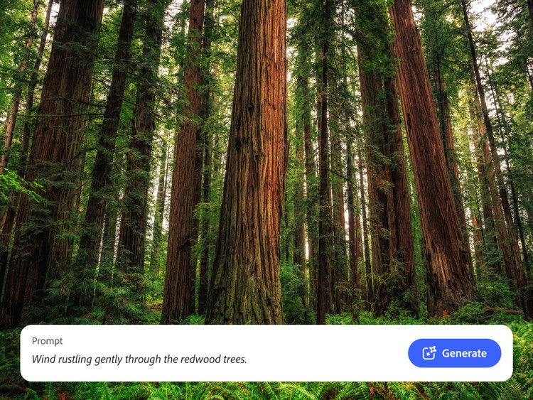 Una foresta di sequoie e il prompt di testo usato nel generatore di suoni IA di Firefly per creare effetti sonori del vento adatti alla scena.