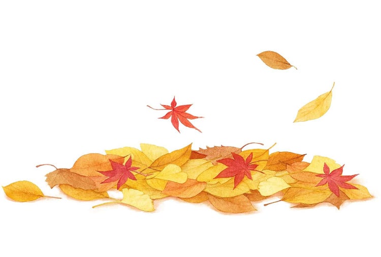紅葉や色付く木の葉が散り積もる水彩画
