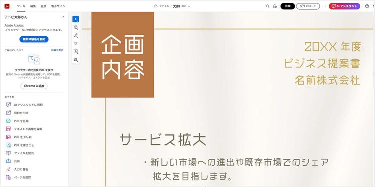 表示されたPDFファイル