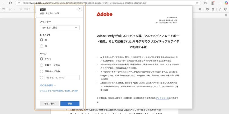 印刷アイコンをクリックすると、保存に関する詳細設定が可能