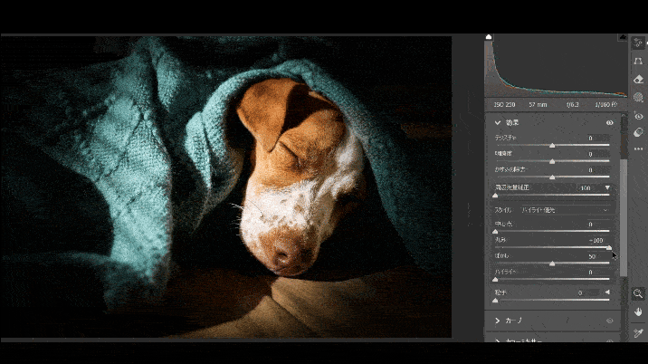 Photoshopの編集画面にて、丸みのスライドバーを左右に動かした場合
