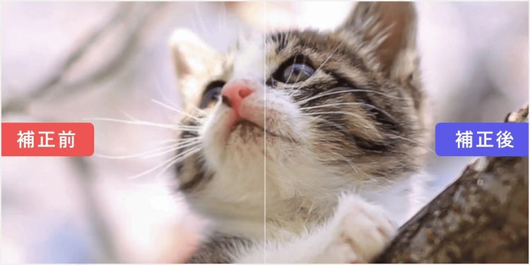 Lightroomを使った猫の写真のピンボケ補正前、補正後の比較