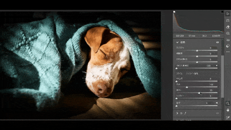 Photoshopの編集画面にて、ぼかしのスライドバーを左右に動かした場合