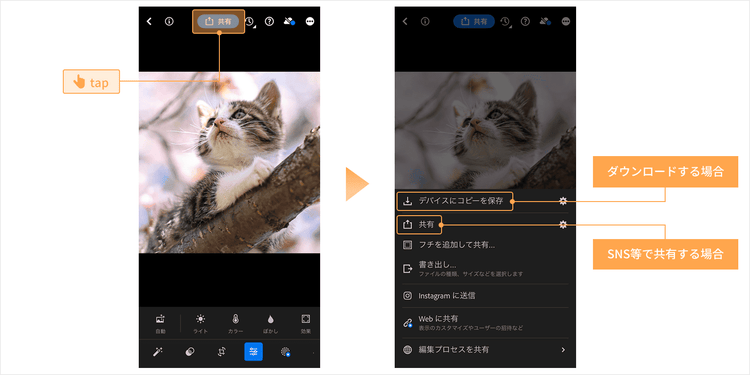 補正した画像のダウンロード、または共有の手順